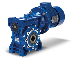 Betech Motovario Worm Gearbox